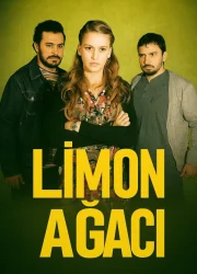 Limon Ağacı