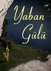 Yaban Gülü
