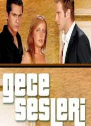 Gece Sesleri