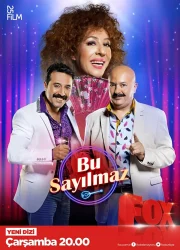 Bu Sayılmaz