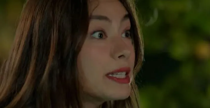 La serie Gecenin Ucunda della coppia Kadir Doğulu e Neslihan Atagül li ha confusi molto!