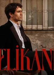 Mert Ramazan Demir